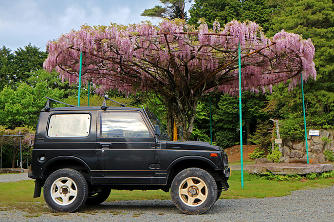 ��������ˡ���ƣ�β�IMG_3026