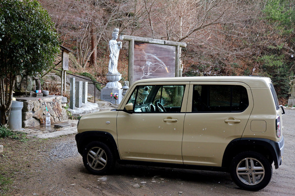 £±£²¤æ¤ë¤®´Ñ²»¤È¥Ï¥¹¥é¡¼IMG_4211