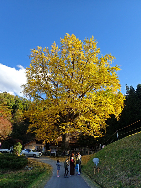 £±£²¶â¸À»ûÂ祤¥Á¥ç¥¦PA280013