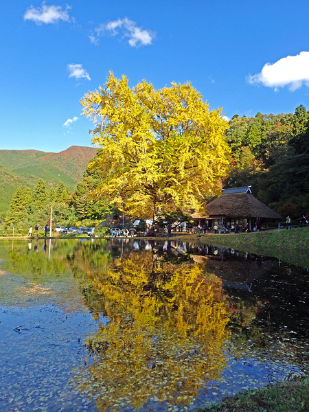 £±£²¶â¸À»ûÂ祤¥Á¥ç¥¦¡PA280006