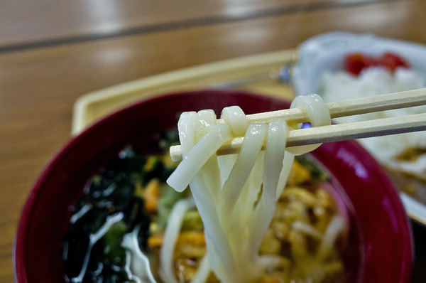 �����ͥ�ե�