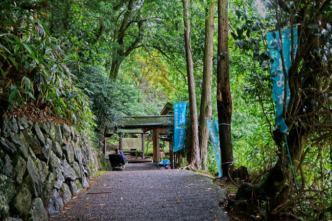 £±£²¤è¤ß¤¬¤¨¤ê¤Î¿å¢IMG_5625