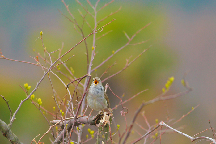 ����������