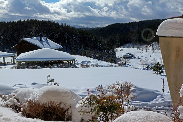 ������ʿ�IMG_5331