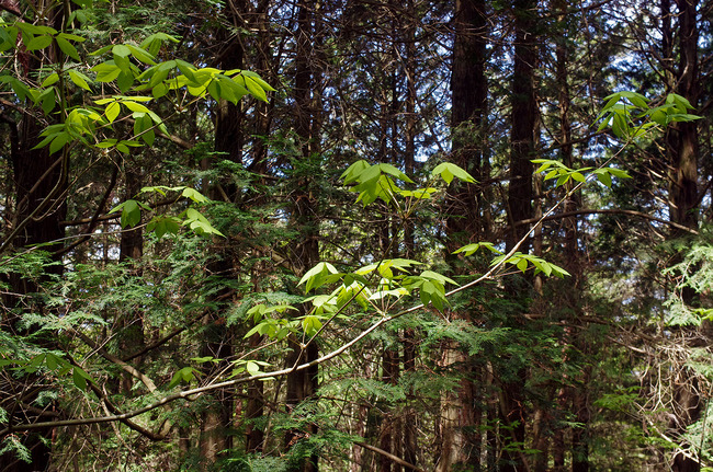 �����������֥魣IMGP8444