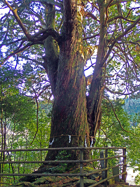 £±£²Âç¥Ò¥Î¥PC250498