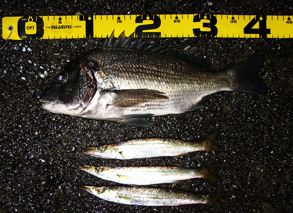 ���̤ȥ��ޥ�