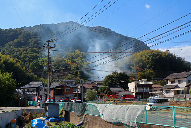 �����л���IMG_4851