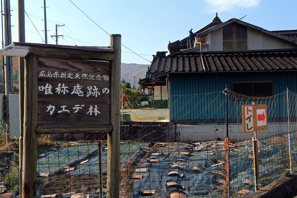 £±£²¥È¥¤¥ìIMG_2407