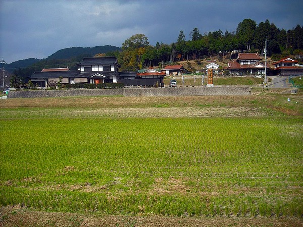 ���п���