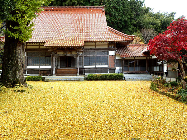 £±£²Ä¹¹¾»ûPB191186