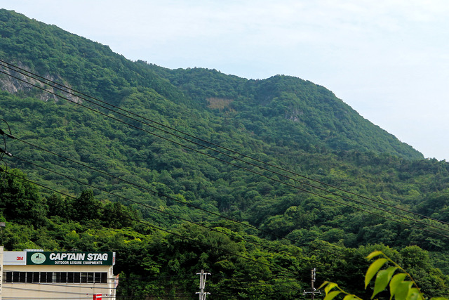 ��������ץƥ󥹥��å�IMG_3684