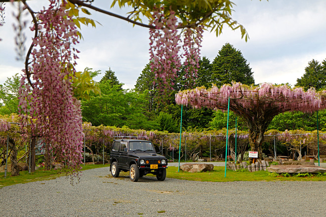 ��������ˡ���ƣêIMG_3024