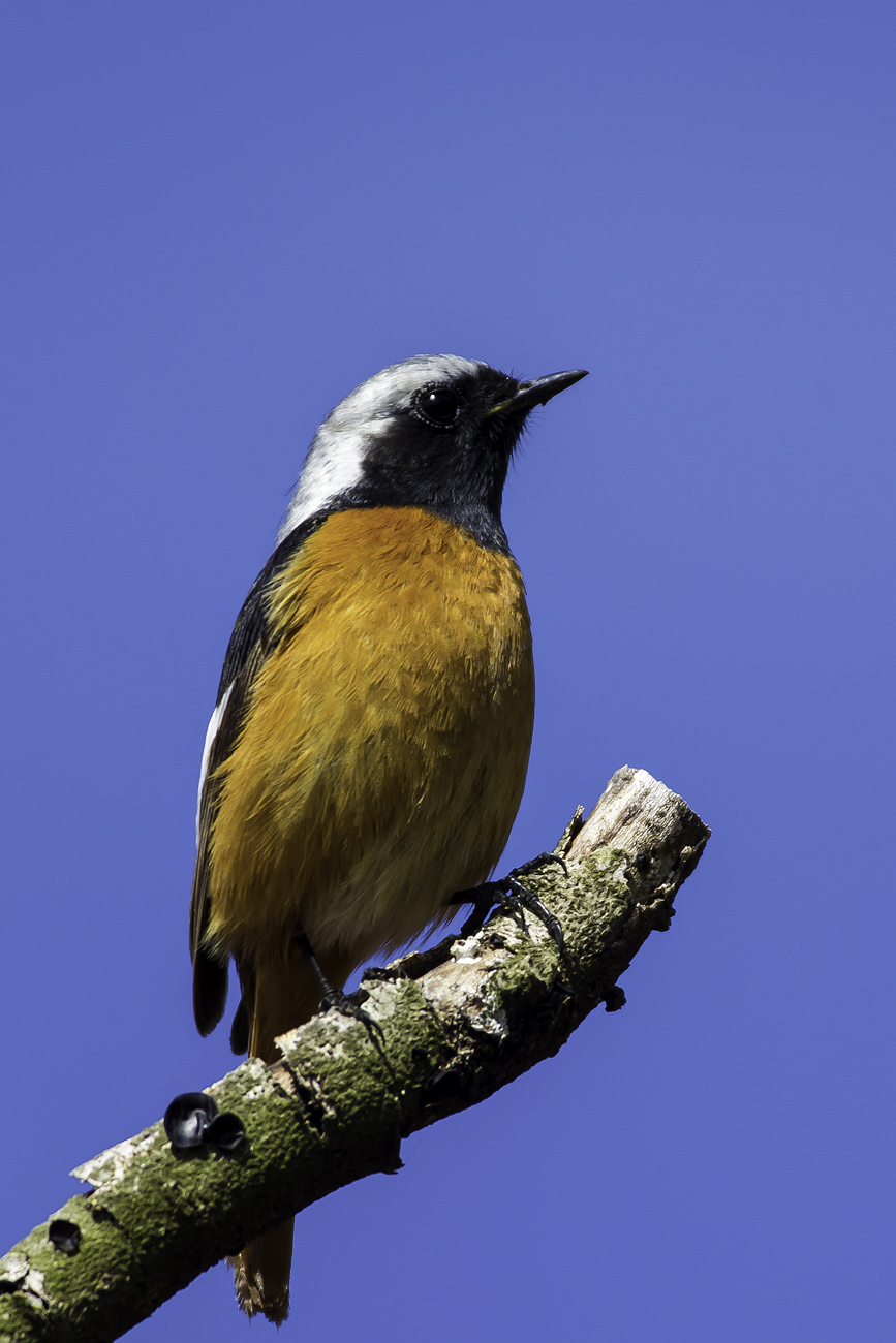 �������祦�ӥ���IMGP9510-Edit