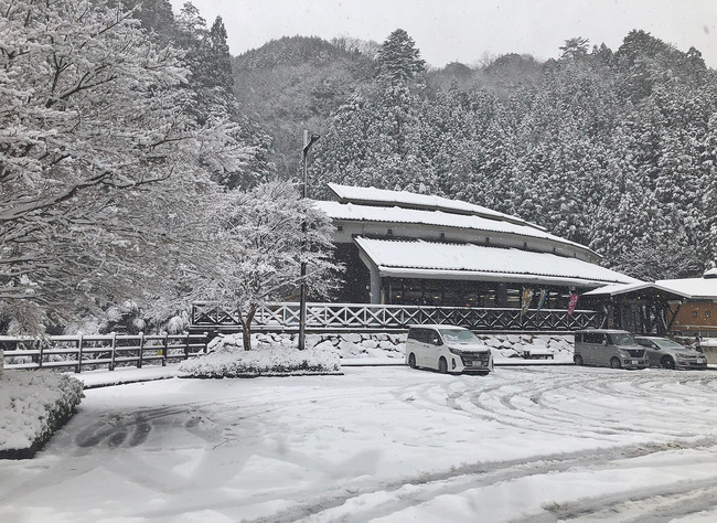 �����������IMG_0813