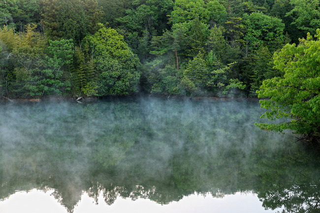 £±£²¥×¥Á¤±¤¢¤é¤·IMG_4998