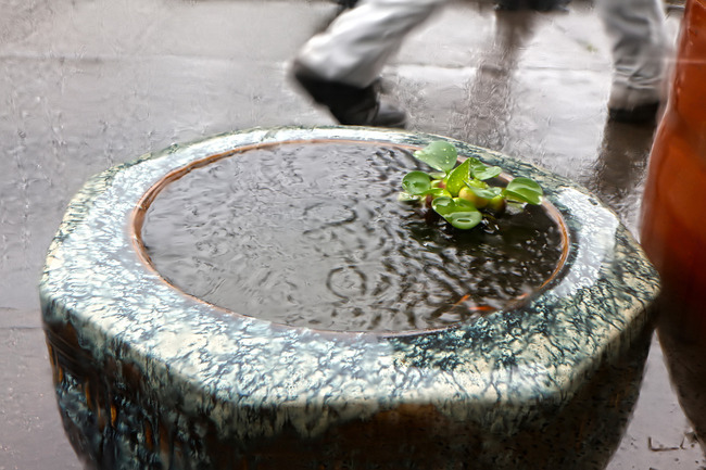 ������IMG_6984_d