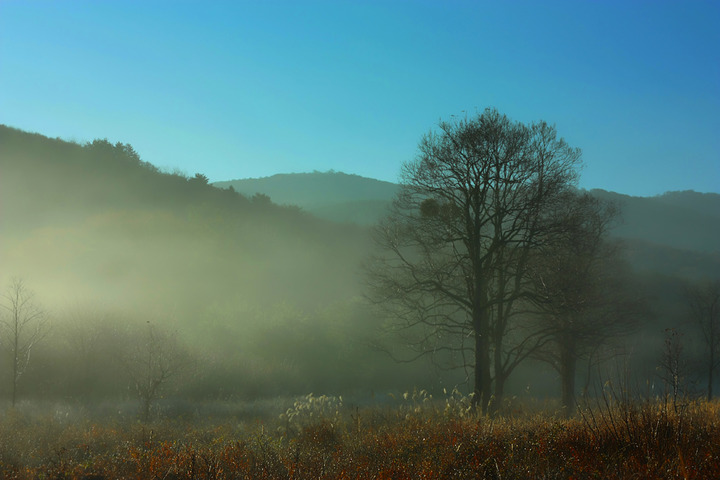 ̸¥öë¼¾¸¶¡¦Ä«·Ê£±