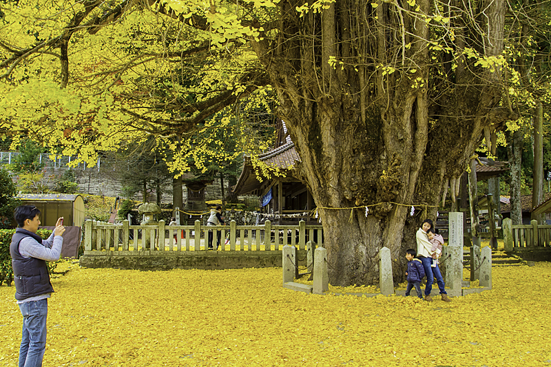 £¸£°¥Õ¥¡¥ß¥ê¡¼¤È¤ª¶ä°ÉIMGP2201-Edit