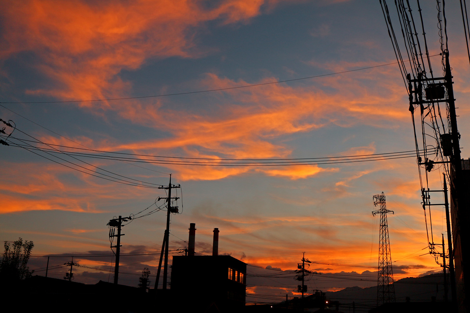 夕景 呉のメバル師 夕景 呉のメバル師