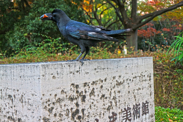 �������饹IMG_2048