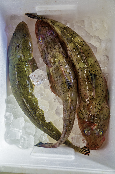 ��������R0300893-Edit