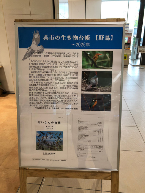 エントリ画像