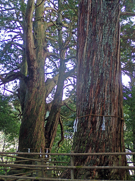 £±£²ÆóËܤΥҥΥPC250504