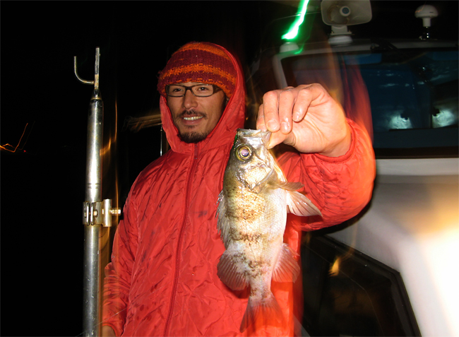 ������Ĺ