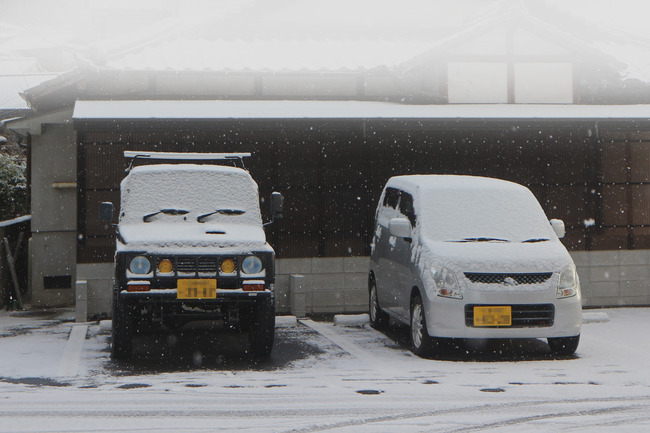 ��������ˡ����㤬�ߤä�IMG_0256 (2)