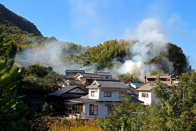 �����л�IMG_4848