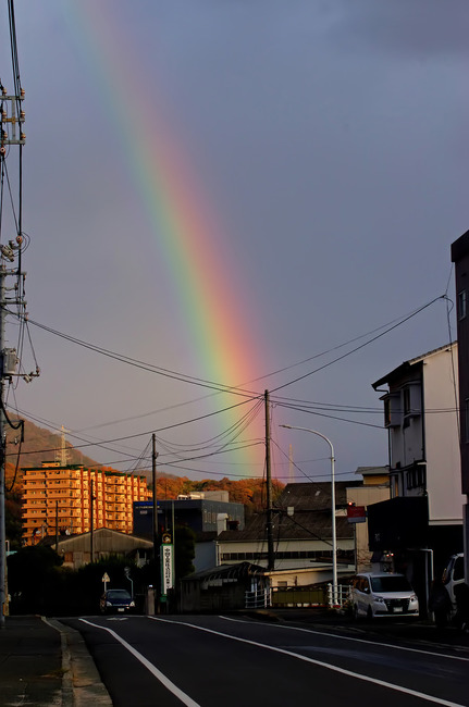 £±£µÆúIMGP6643_d