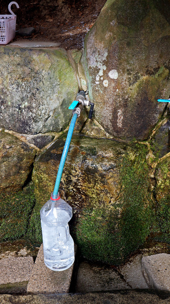 £±£²¿åµâ¤ßIMG_4288