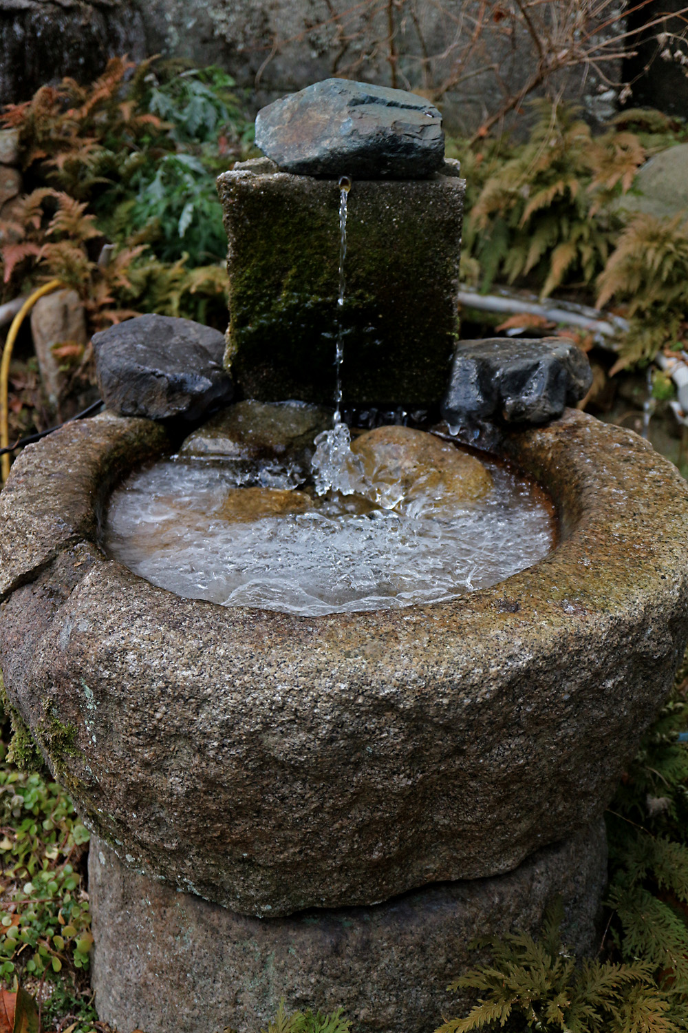 手水鉢が凍った 呉のメバル師 手水鉢が凍った 呉のメバル師
