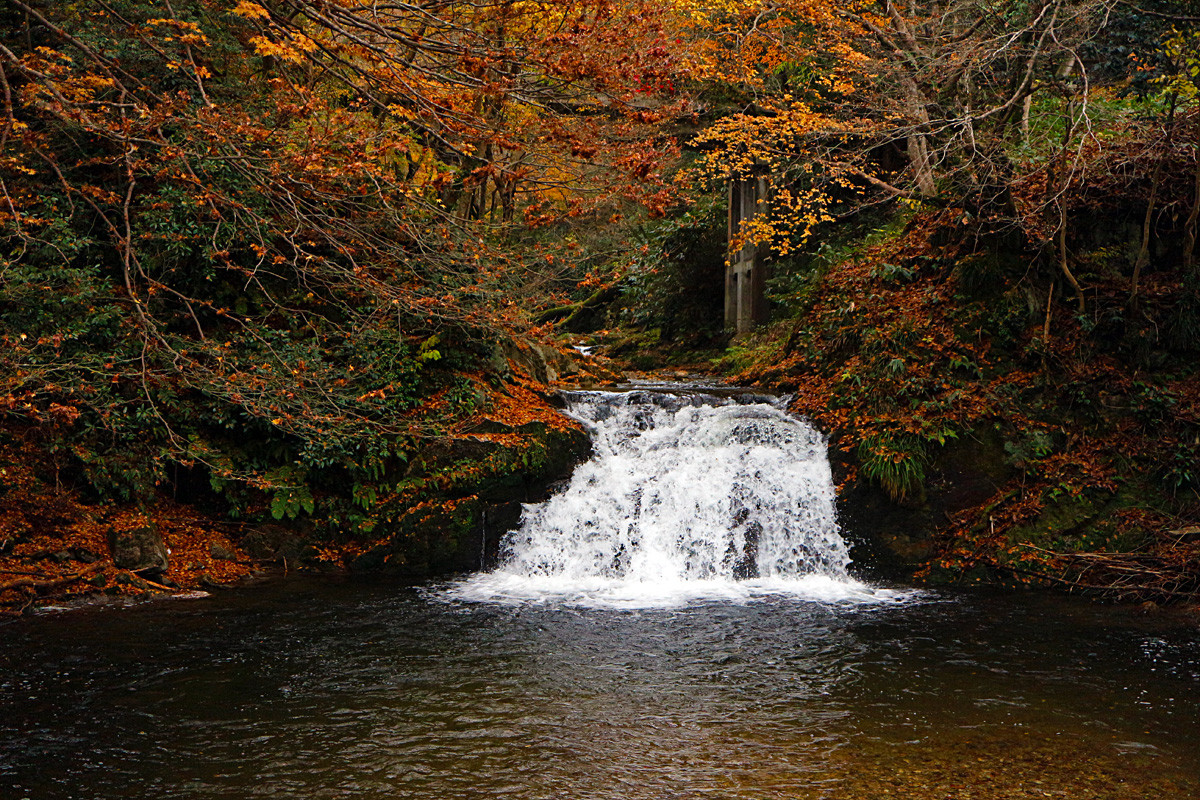 清聴の滝 奥出雲 呉のメバル師