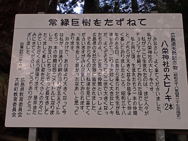 £±£²Î©¤Æ»¥PC250493