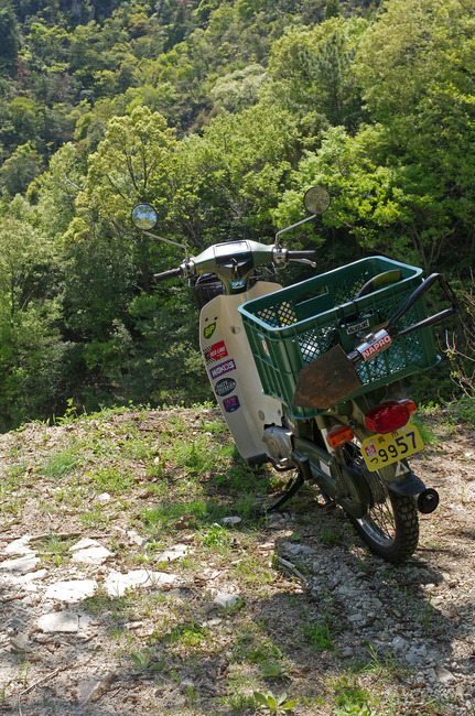 £±£µ¥á¥¤¥È£¸£°¢IMGP8315