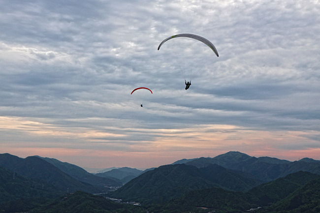 �����ѥ饰�饤����IMG_3030