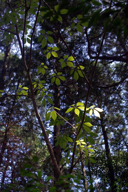 �����������֥魢IMGP8435