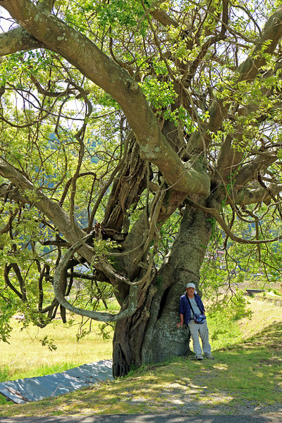 £±£²¼«»£¤êIMG_2098