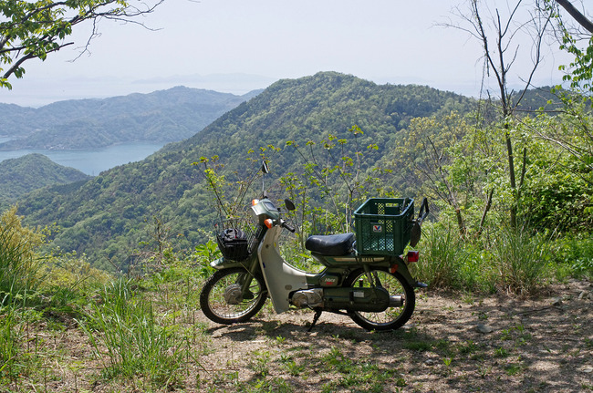 £±£µ¥á¥¤¥È£¸£°¡IMGP8300