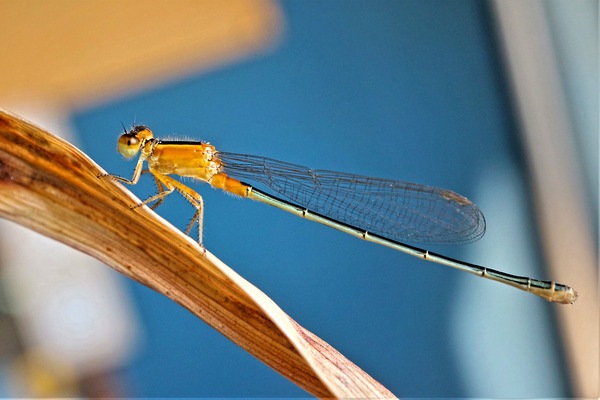 �������ȥȥ��IMG_8510