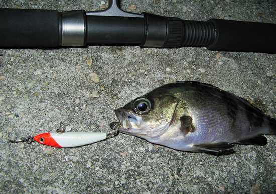 ��Ф롦��