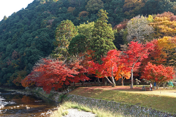 £±£²¥«¥¨¥ÇÎÓIMG_2414