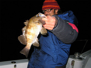 ������Ĺ