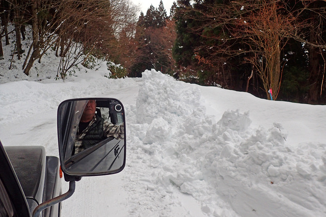 ����ñ����ɥ饤�֭�P1010086