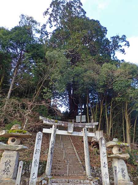 £±£²Ä»µïPC250491