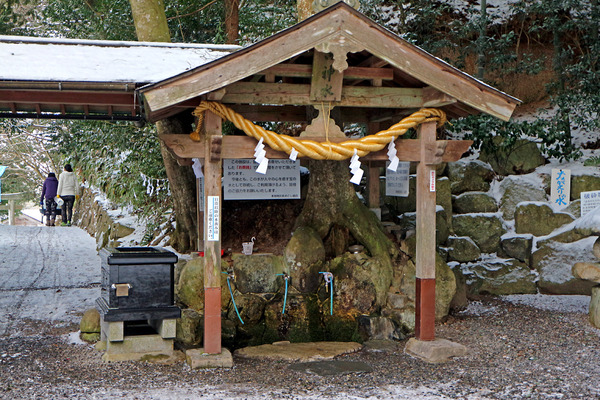 £±£²¿åµâ¤ß¾ìIMG_4280