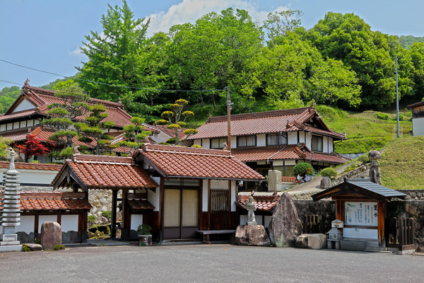 £±£µ¤³¤¦¤¹¤¤£IMG_0415