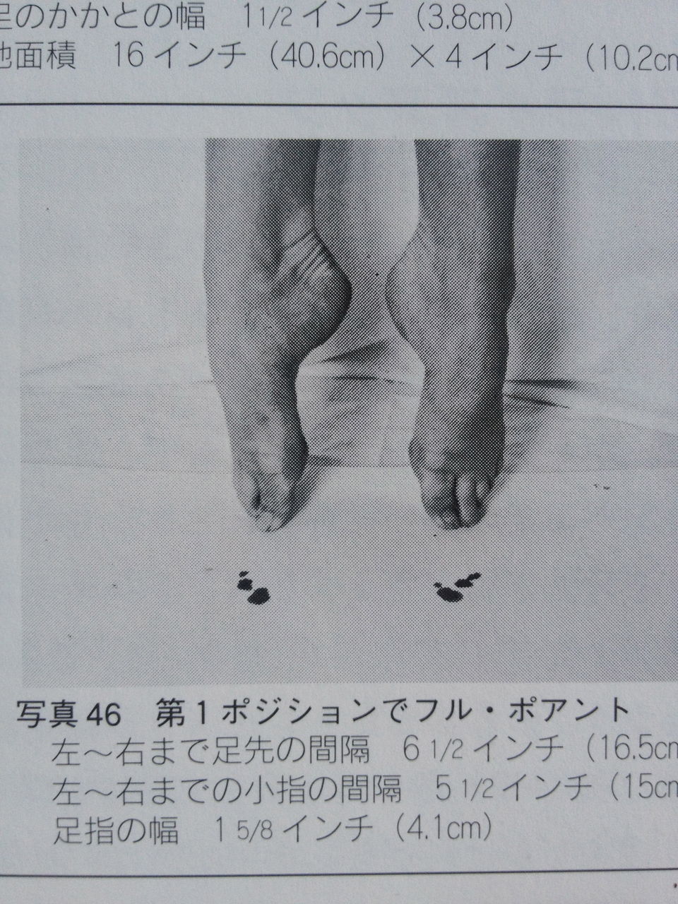 裸足でポワントで立つ 札幌の悩めるバレエ フィギュアスケート ダンサーの為の情報箱 裸足でポワントで立つ 札幌の悩めるバレエ フィギュアスケート ダンサーの為の情報箱